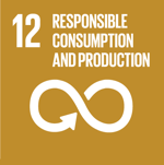 SDG Icon 12