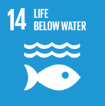 SDG Icon 14