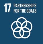 SDG Icon 17