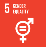 SDG Icon 5