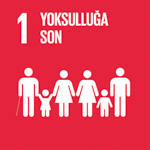 SDG Icon 1