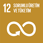 SDG Icon 12