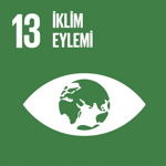 SDG Icon 13