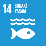 SDG Icon 14
