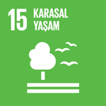 SDG Icon 15