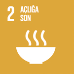 SDG Icon 2