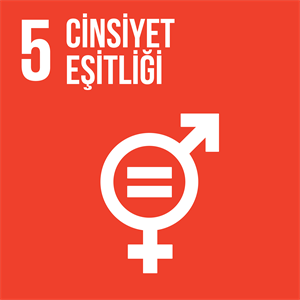 SDG Icon 5