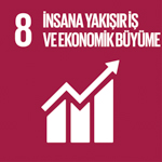 SDG Icon 8