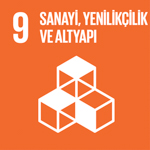 SDG Icon 9
